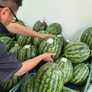 삼천청과 네이버블로그