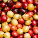 강동과일 이미지