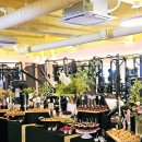 비코3호 이미지