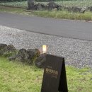 GS25 제주함덕점 | 제주여행 함덕숙소 독채 시재시재 (내돈내산, 솔직후기)