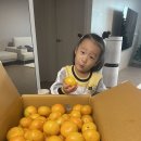1361 | D+1361(접종열 후기)