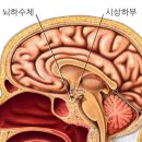 만복시스템 이미지