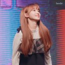 채원 이미지