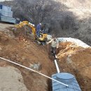 동양농장 이미지