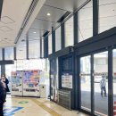 기리시마 | [일본 가고시마] 기리시마 신궁, 쉐라톤 가고시마 내돈내산 후기(2)