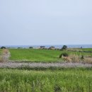 대흘보건진료소 이미지