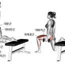 근육제작소