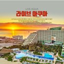 순천-79호 | 순천허니문 전문여행사 팜투어 에서 칸쿤신혼여행 가야하는이유