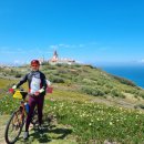 지니아 민박 이미지