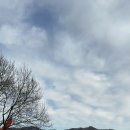 명호 주유소 이미지