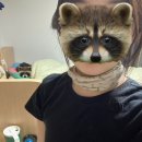 24/05 도무지 적당히 좋아할 수 없는
