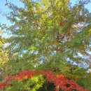 강당말공원 이미지