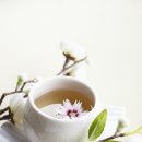 갑을병한의원 이미지