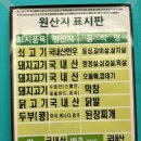 꼽슬돼지 네이버블로그