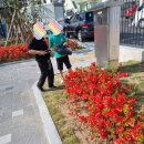 노+리마당 이미지