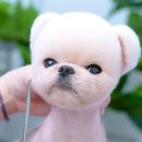 따끈;[닦은] 이미지