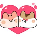 태성축산물 이미지