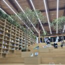 밤빛 | 수원 영흥수목원 야간개장 후기 | 밤빛정원 정보