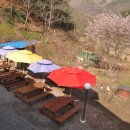 양지별밤 이미지