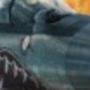 도그 에이스 이미지