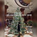 멍팰리스 | [서울 / 강남] 그랜드 머큐어 임패리얼 팰리스 서울 강남 – 카페 델마르 애프터눈 티 세트 방문 후기...