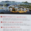 임운로 이미지