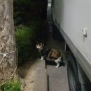 책더하기사랑작은도서관 이미지