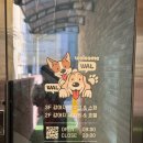 위드왈왈 | 부산 애견 미용 위드왈왈 컴퍼니 애견미용부터 유치원 호텔링 재활까지 가능한 토탈케어샵추천