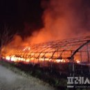 용인양계 이미지