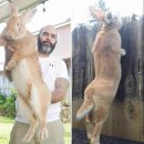 만랩2 pc방 이미지