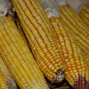 한산펜션 이미지