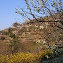 커피명가 이미지