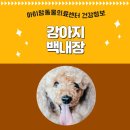 아이맘동물의료센터 이미지