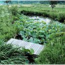 개실마을_2 이미지