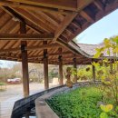 동백꽃식당 이미지