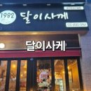 달이사케
