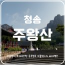 천안복지산악회 518회 주왕산 정기산행공지(11/3) 이미지