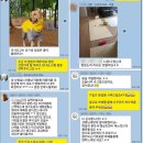 세종애견훈련소