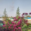 우리마당 이미지