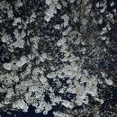 [Monthly] 휴학생의 행복 4월