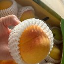 이언농장 이미지