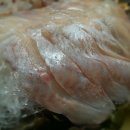 돌섬횟집 이미지