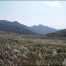 장선목장 이미지