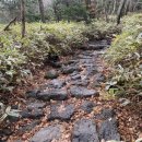 탑동호텔 이미지