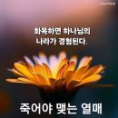 시편나라 네이버블로그