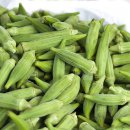 더오크라 이미지