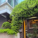 베이커리 운치 | 부산 금정구 카페 | 비 오는 날 더 운치 있는 주택 개조 카페 '소사베이커리' 🌿