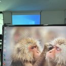 MS구내식당 | 코드랩 아카데미 UIUX 기획자 실무 프로젝트(서울 매력일자리) 교육 후기