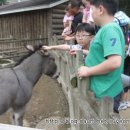 경상남도산림박물관 이미지