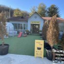 검성로-14 이미지